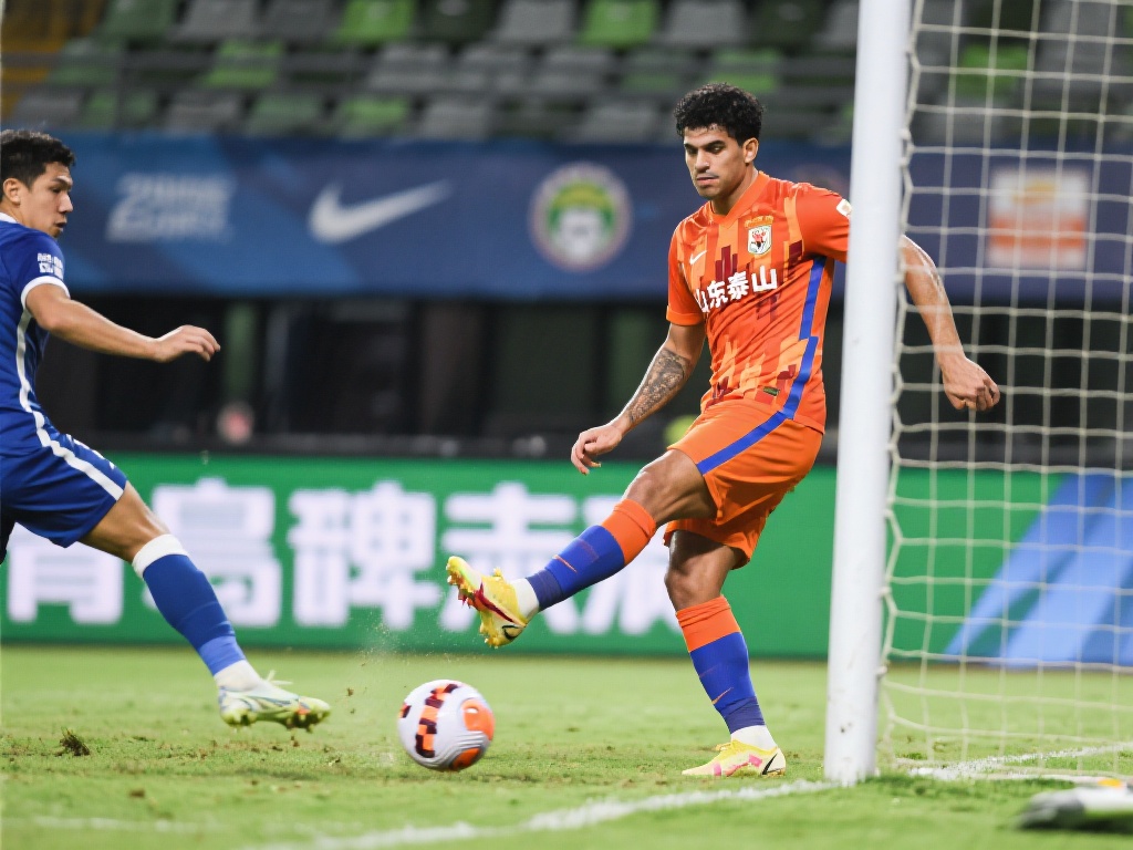 扩大草根足 扩大草根足